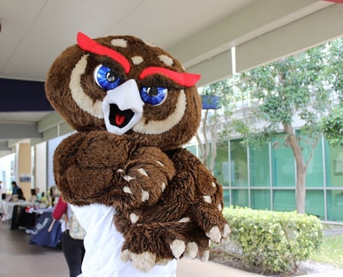 FAU-OWL-Dillard-Field-Trip