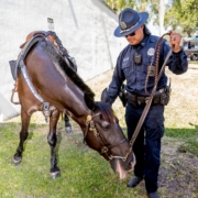 Ranger Good Works - Career City at Dillard Elem